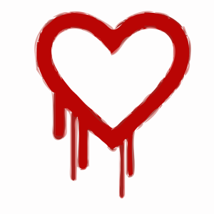 Heartbleed-Patch-Needed