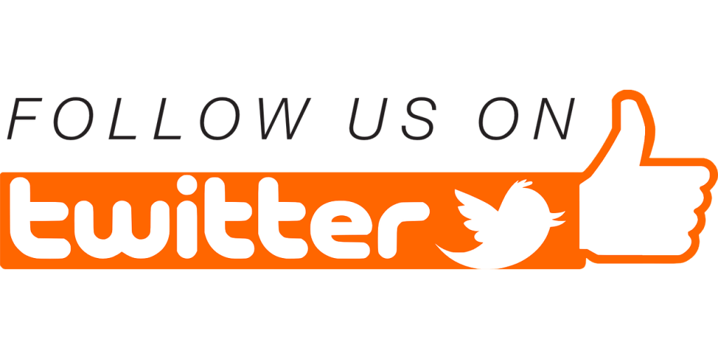Twitter Logo - Pro Q Solutions